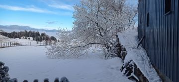 IMG_20260125_152211-1