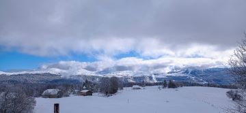 IMG_20260126_132622-1