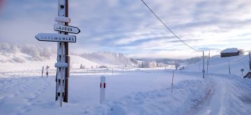 IMG_20260129_084741-1