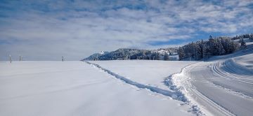 IMG_20260129_104421-1