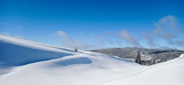 IMG_20260129_114235-1