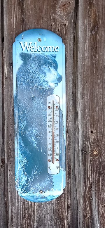 IMG_20260129_120750-1